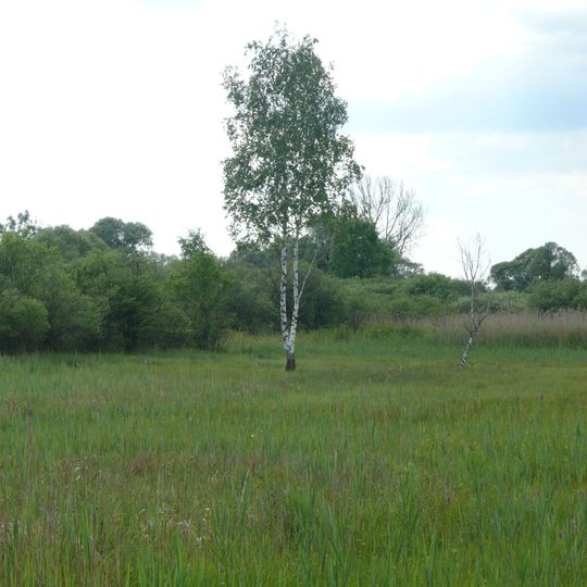 Nördliches Erdinger Moos