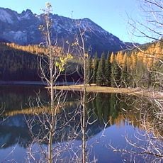Malheur National Forest