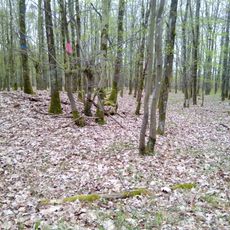 Kleine Keltenschanze