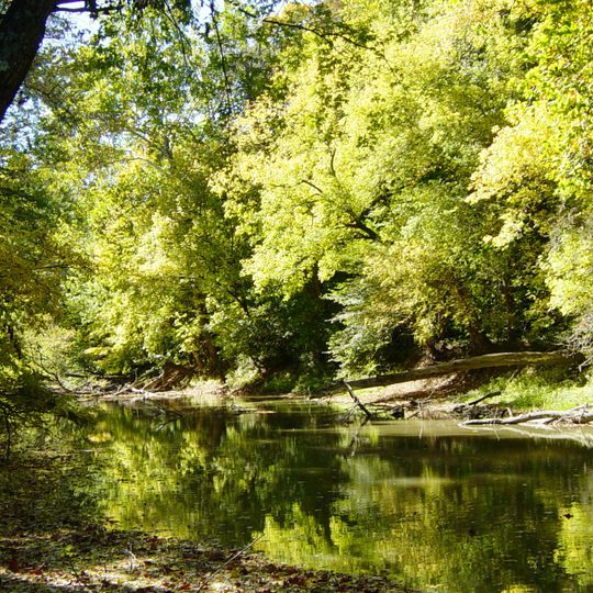 Goll Woods State Nature Preserve