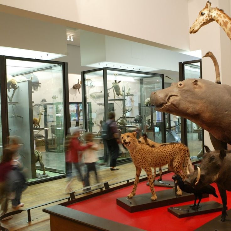 Nancy Aquarium Museum