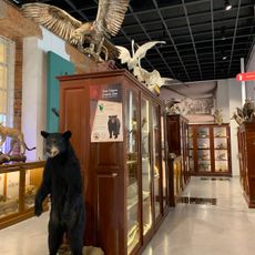 Museo Universitario de Historia Natural Dr. Manuel M. Villada