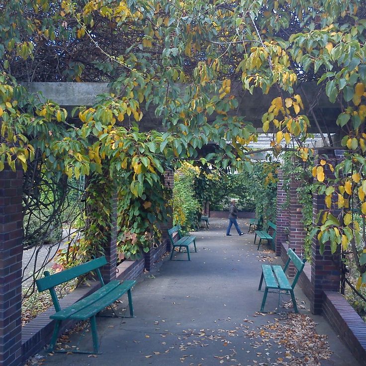 Botanisk hage