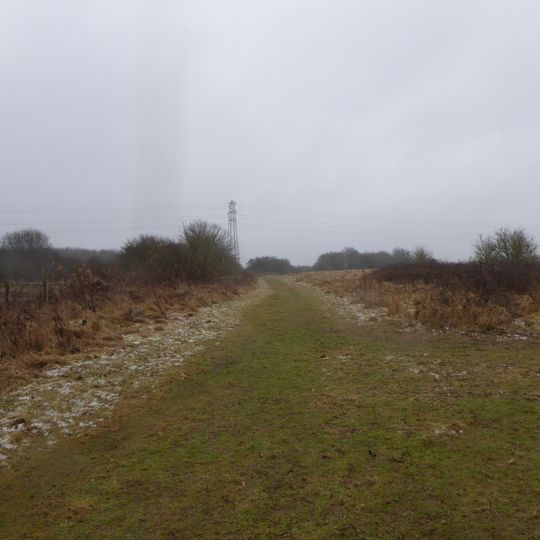 Barford Wood and Meadows