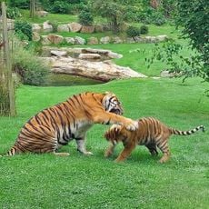 Parc zoologique de Champrepus