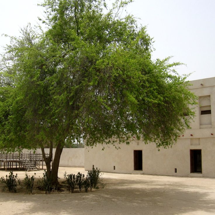Al Jasra House
