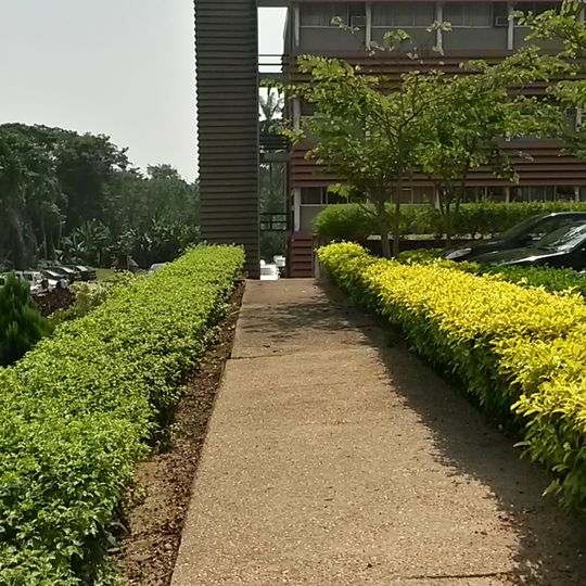 Obafemi Awolowo University