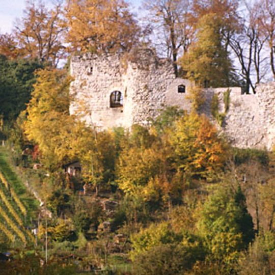 Ruin of the Vorderer Wartenberg