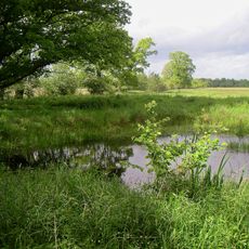 Duvenstedter Brook