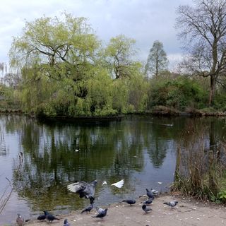 Sydenham Wells Park