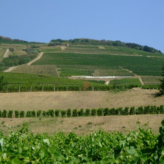 Tokaj wine region