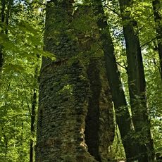 Romantyczne ruiny w Orzechu