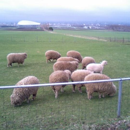 Observatoire de Hitsujigaoka