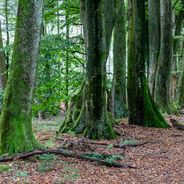 Trezores escondidos da Renânia do Norte-Vestfália: locais históricos pouco conhecidos, patrimônio industrial e monumentos culturais