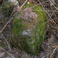 Grenzstein Untere Gemeinde in Fürth