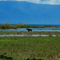 Lake Poso