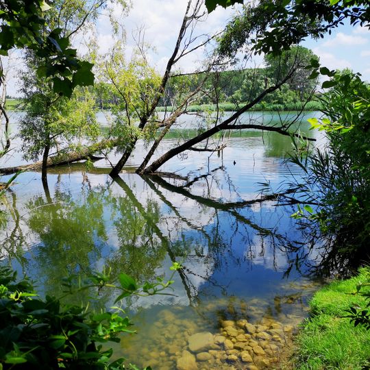 Laghetto del Frassino