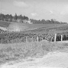 Te Kauwhata Winery