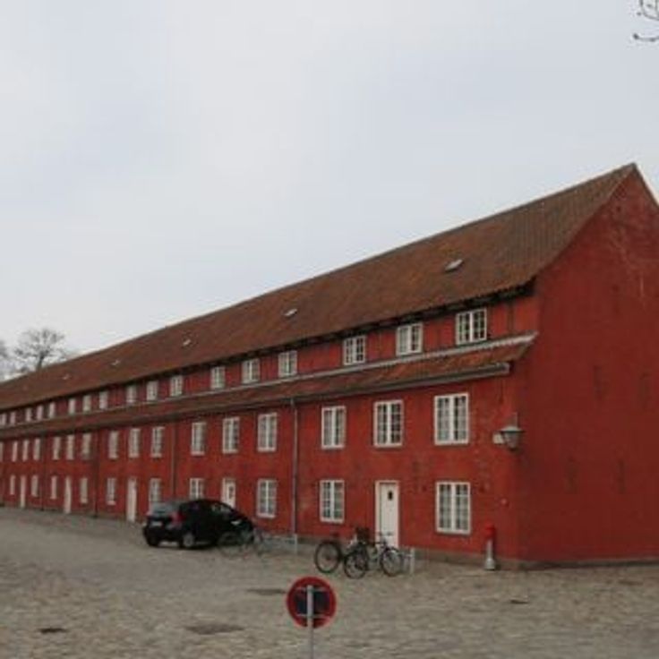 Svanestok