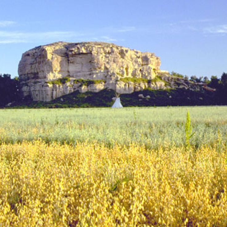 Pompeys Pillar