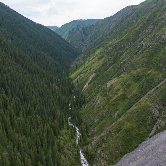 Natural Monument "Chinturgen firry grove"