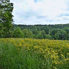 Durchbruchstal der Wolfegger Ach