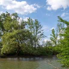 Mittlere Amper, Weiher-Einfang Fürstenfeldbruck