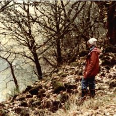 Basalt Cobblestone Quarries District