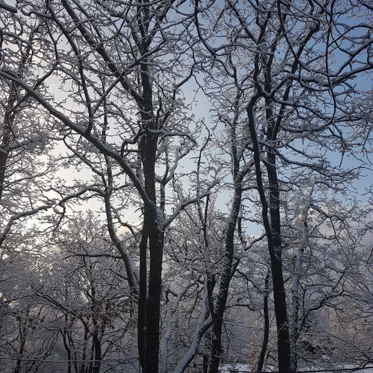 Parc des Arboins