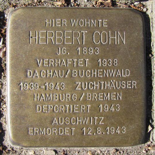 Stolperstein en memoria de Herbert Cohn