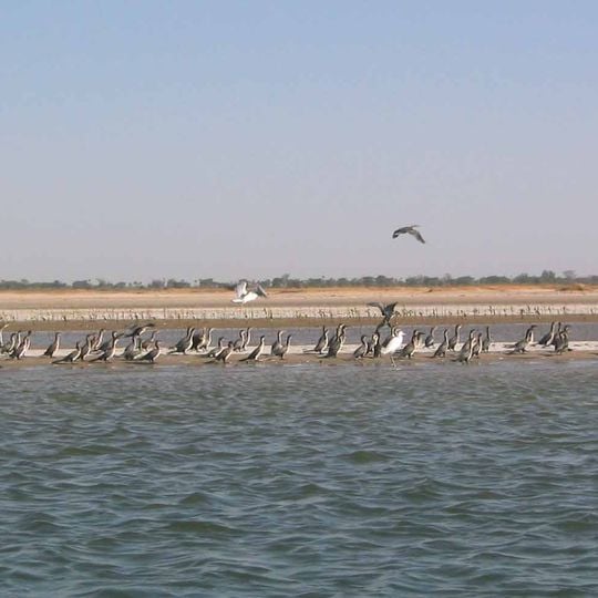 Île des Oiseaux
