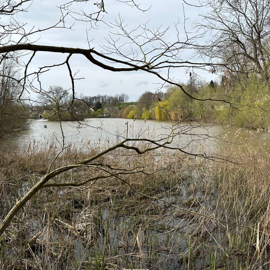 Hofteich Frankenhausen