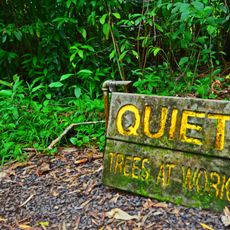 Kaumahina State Wayside Park
