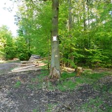 Obrázek u cesty východně od myslivny Vestec