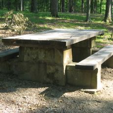 Jackson–Washington State Forest