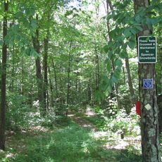 Spencer State Forest