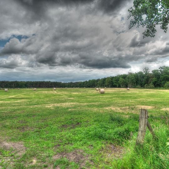 Untere Leine - Warmeloher Heide