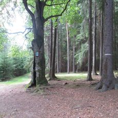 Obrázek Panny Marie na rozcestí nad Novým Mnichem