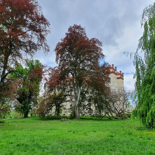 Naturdenkmal Blutbuche Schlosspark, ca. 50 m nordöstlich vom Schloss in Lübbenau/Spreewald