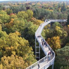 Baumkronenpfad Beelitz-Heilstätten