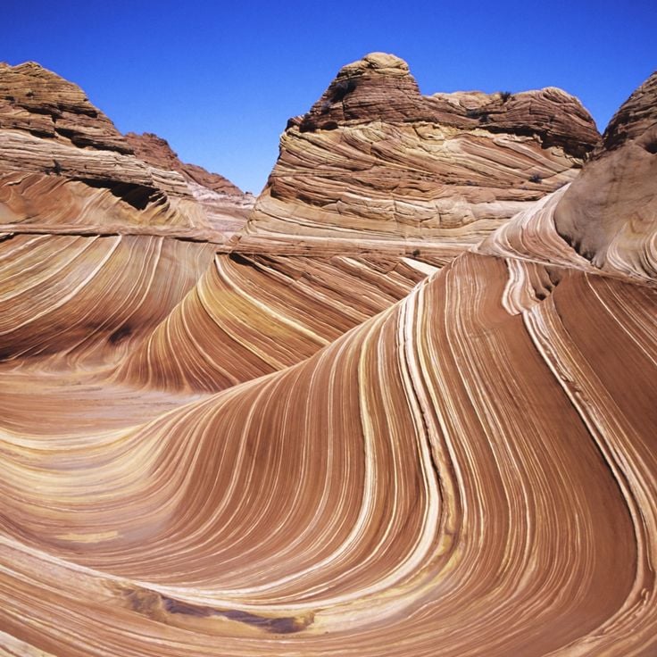 The Wave