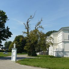 Pałac w Koszewku