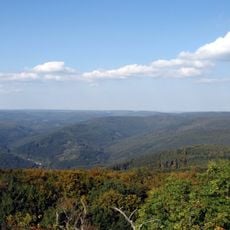Selva de Oden