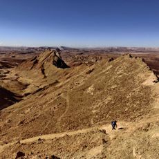 תצפית לכרבולת חררים