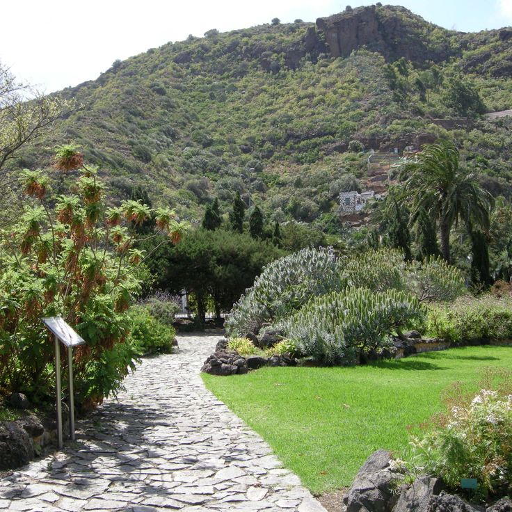 Viera y Clavijo Botanical Garden