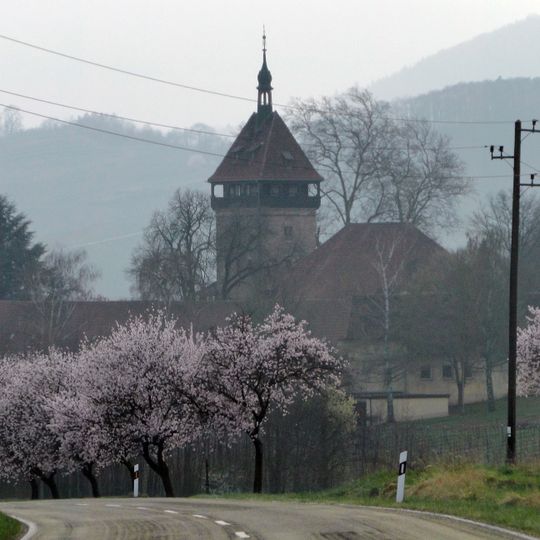 Institut für Rebenzüchtung Geilweilerhof