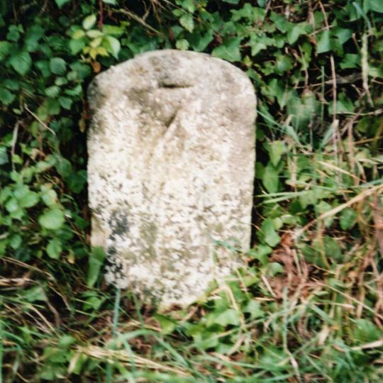 Milestone Opposite Long Thatch