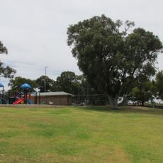 Camberwarra Park