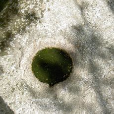 Druidenstein bei Kröblitz