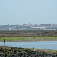 Marismas de Isla Cristina
